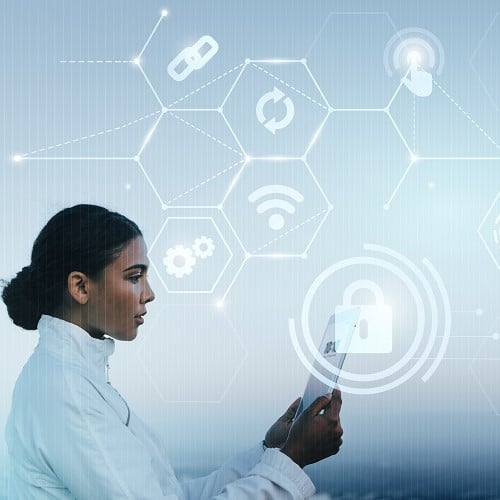 Business at a Digital Crossroads