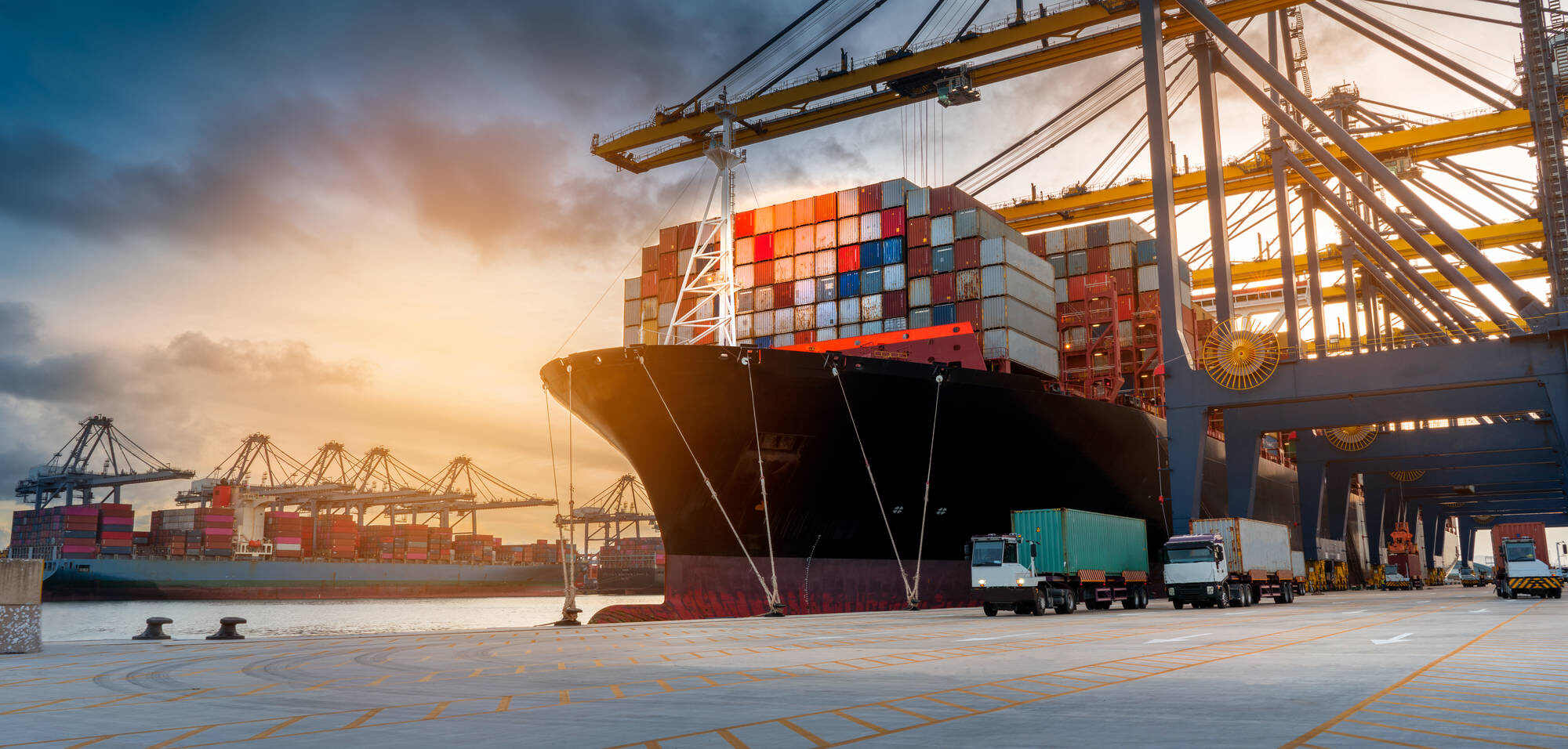 Download a copy of International Business Report Q1 (2026)