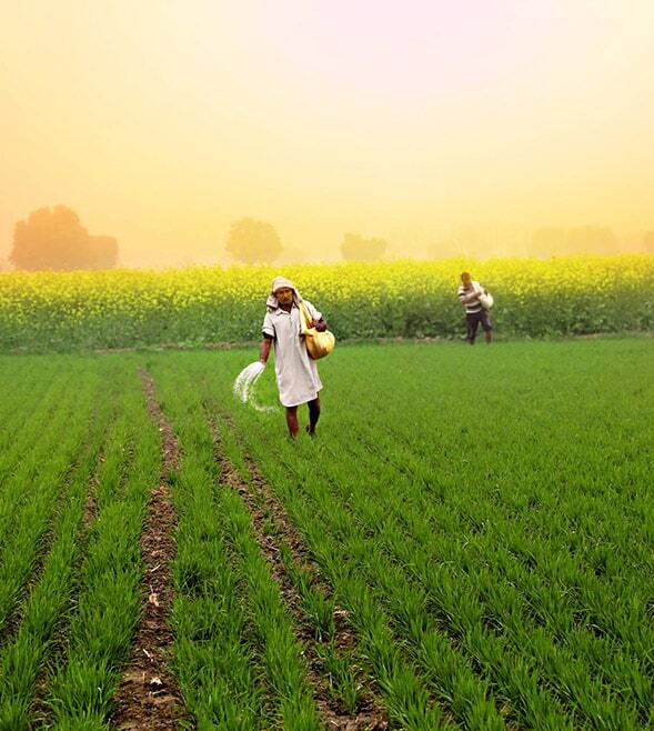 The New Imperative for Sustainable Growth