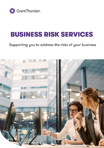 Learn More About Business Risk Services